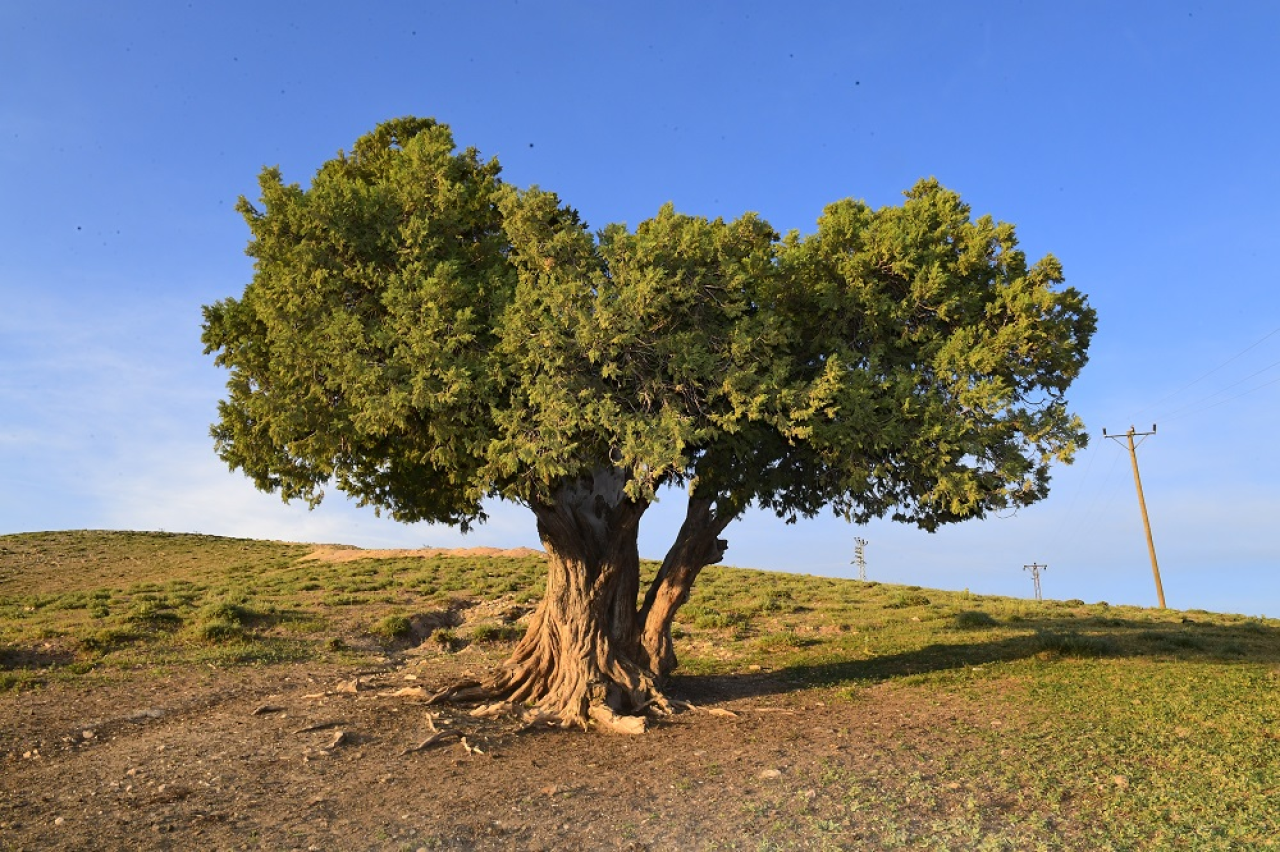 Yeşilyurt'ta Doğa